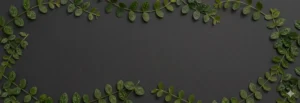 Banner oscuro mercat tampico