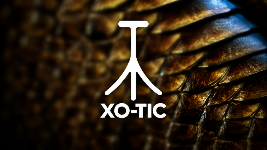 xotic logo